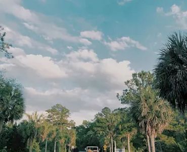 Isle of Hope Marina